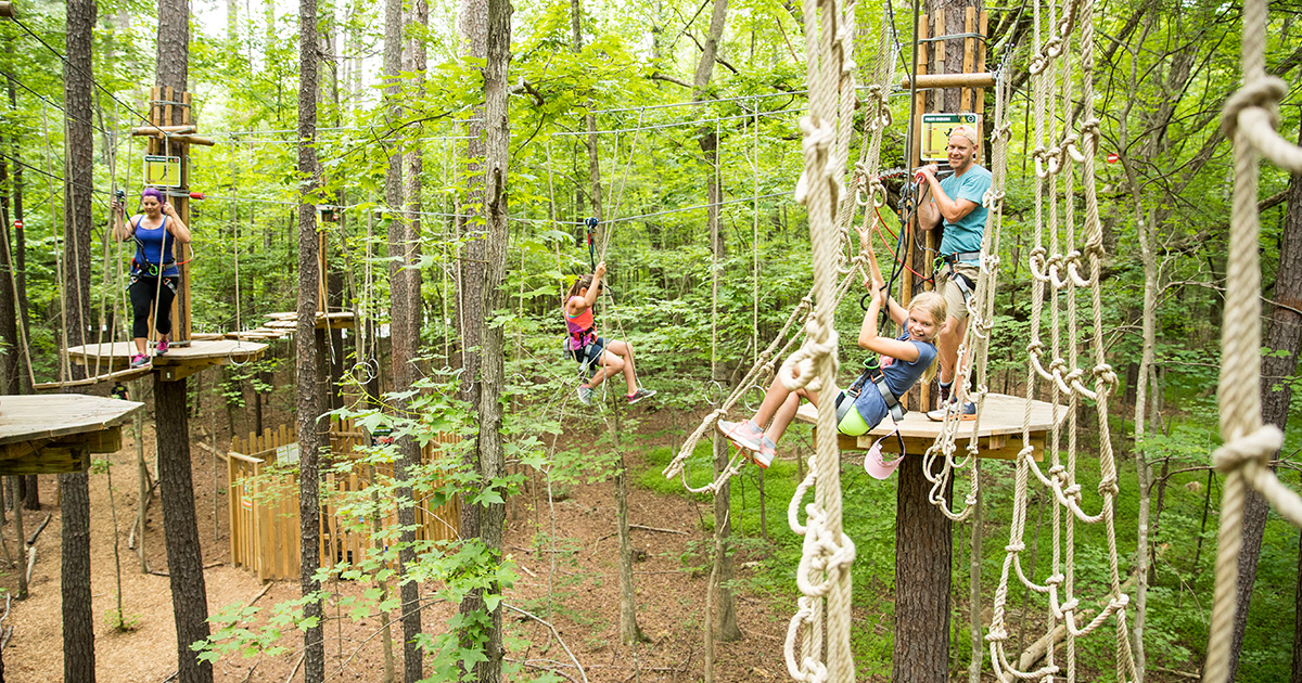 Save At Go Ape Zipline Treetop Adventure Family Attractions Card
