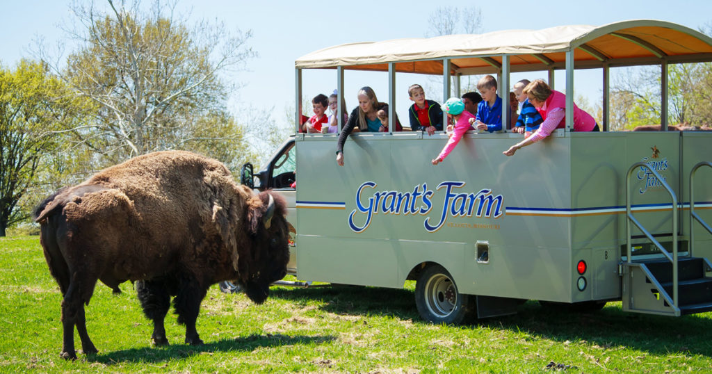 Save at the Grant's Farm Gift Shop Family Attractions Card