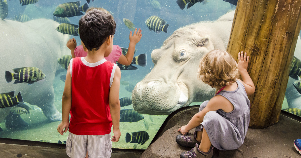 Save on Membership to the Saint Louis Zoo | Family Attractions Card